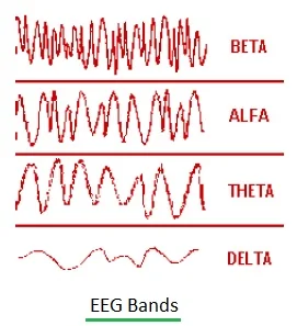 EEG Bands